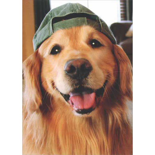 Avanti Press Golden Retriever Baseball Cap Blank Card