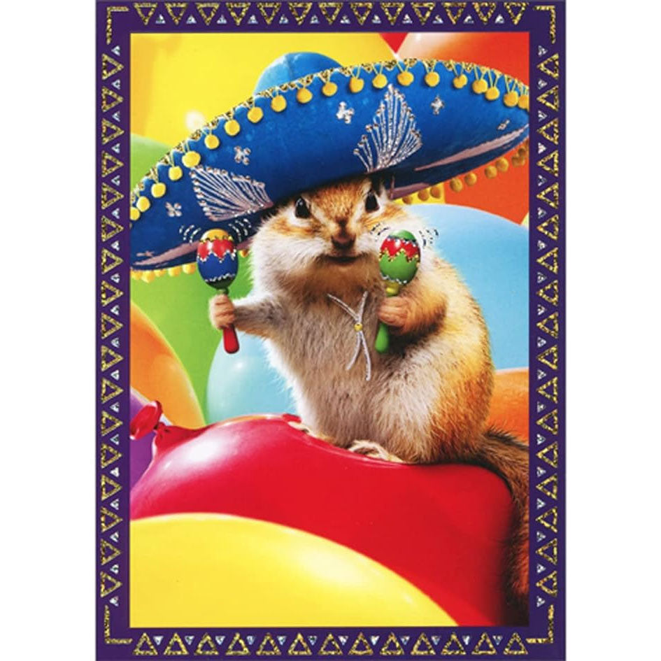 Avanti Press Chipmunk Sombrero Birthday Card