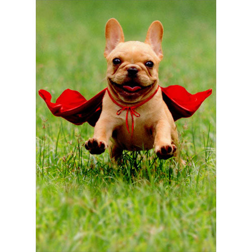 Avanti Press Frenchie Jumping Wearing Red Cape Thank You Card