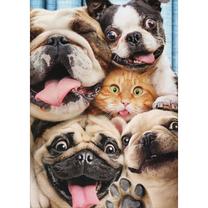 Avanti Press Dog/Cat Photo Booth Funny Pop-Up Birthday Card