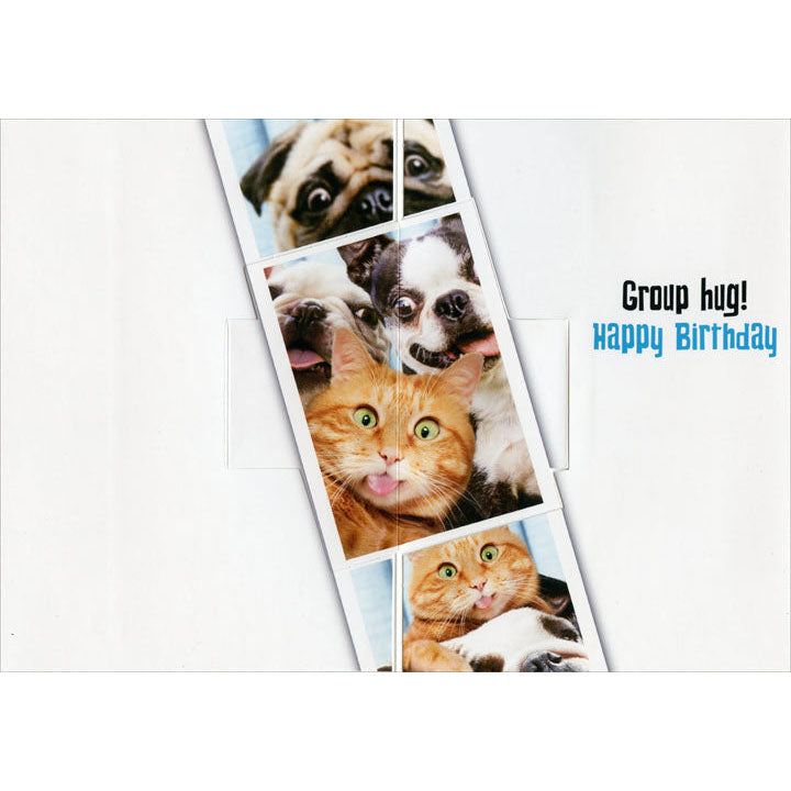 Avanti Press Dog/Cat Photo Booth Funny Pop-Up Birthday Card