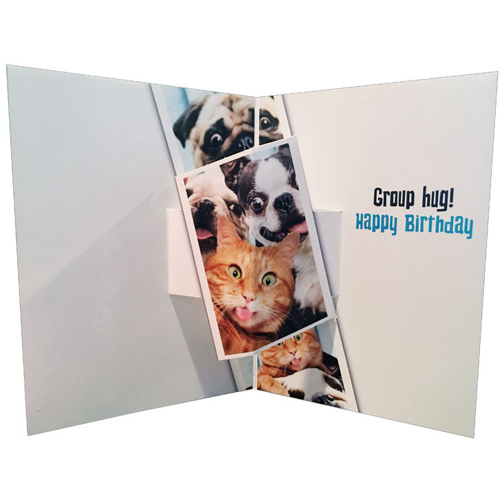 Avanti Press Dog/Cat Photo Booth Funny Pop-Up Birthday Card