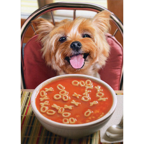 Avanti Press Dog with Get Well Soup Get Well Card