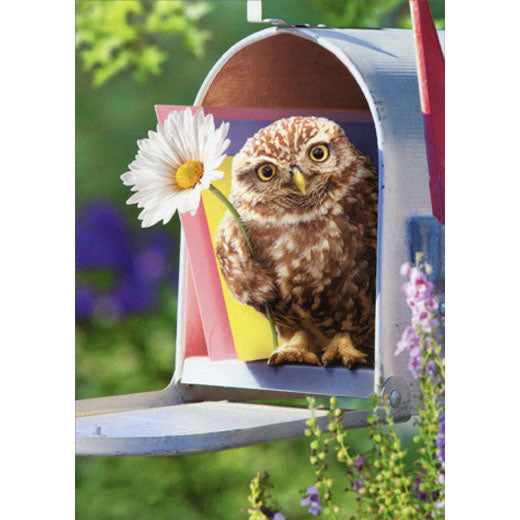 Avanti Press Baby Owl in Mailbox Encouragement Card