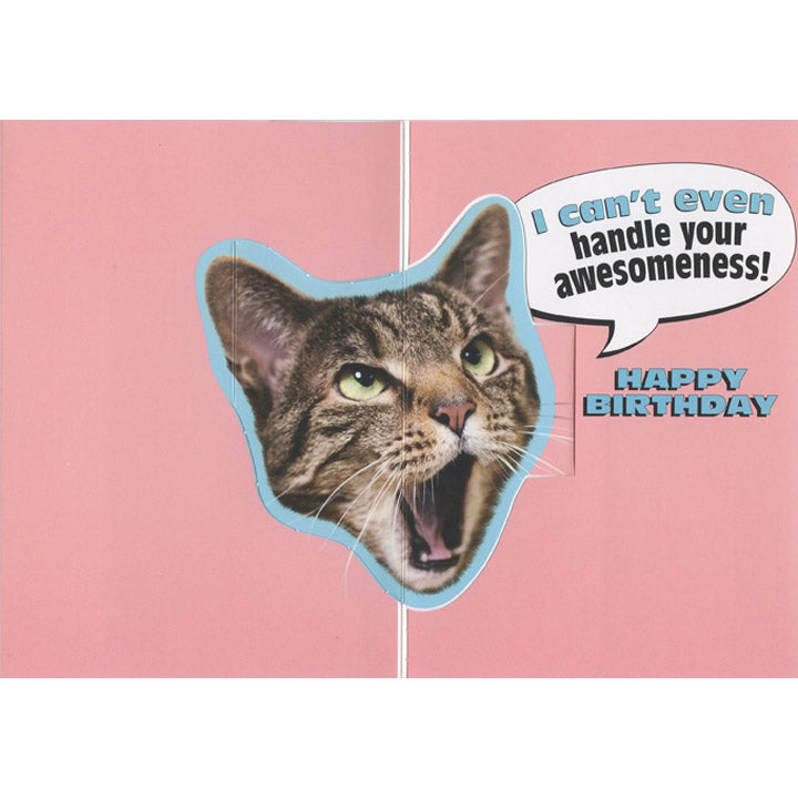 Avanti Press OMG Cat Pop-Up Birthday Card