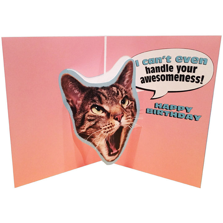 Avanti Press OMG Cat Pop-Up Birthday Card