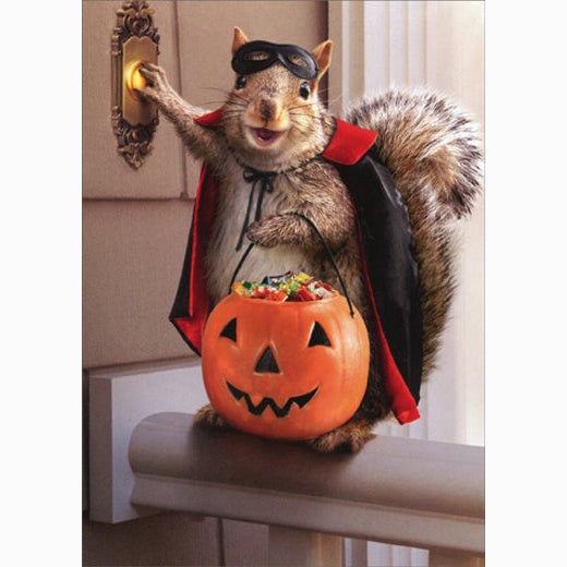 Avanti Press Squirrel Trick Or Treating Halloween Card