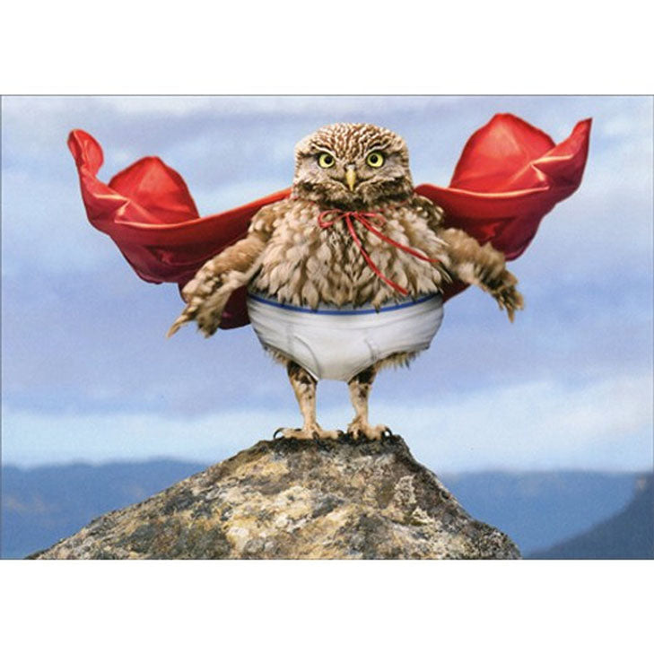 Avanti Press Owl Superhero w/Cape Birthday Card