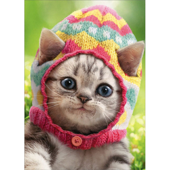 Avanti Press Kitten Wears Knit Egg Cap Easter Card