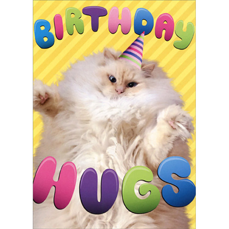 Avanti Press Birthday Hugs Cat Birthday Card