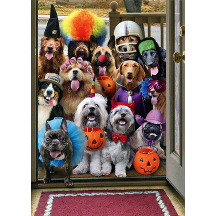 Avanti Press Trick or Treat Dogs Halloween Card