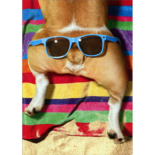 Avanti Press Dog With Glasses On Butt Birthday Card