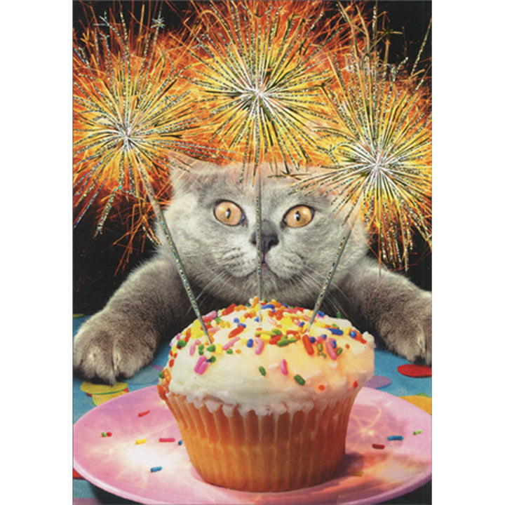 Avanti Press Cat with Sparkler Cake Birthday Card