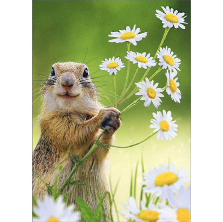 Avanti Press Squirrel Holding Flowers Thank You Card