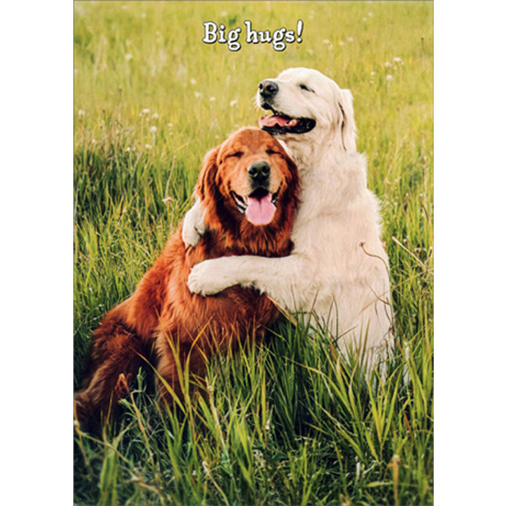 Avanti Press Golden Retrievers Hugging Birthday Card