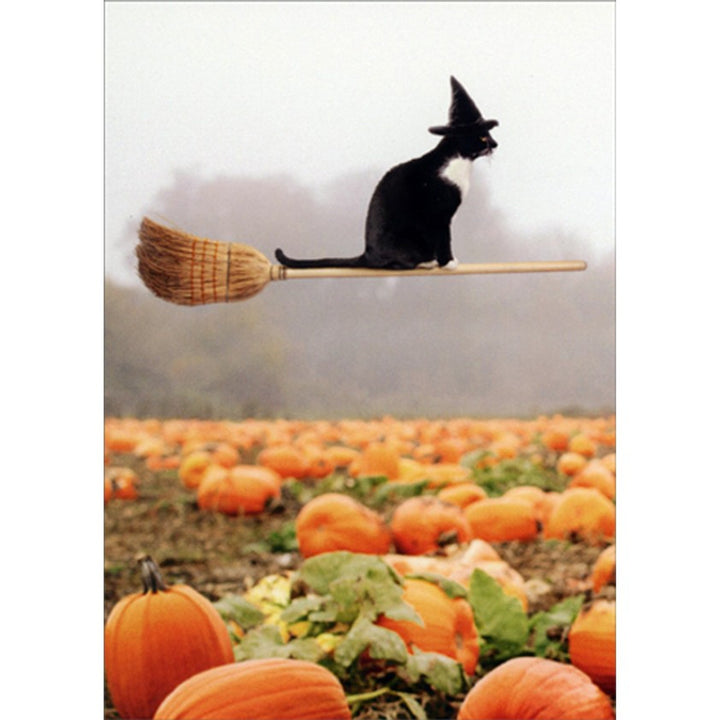 Avanti Press Cat Riding Broom Halloween Card