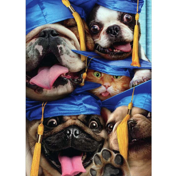 Avanti Press Dog and Cat Grads Squished into Photo Booth Congratulations Card