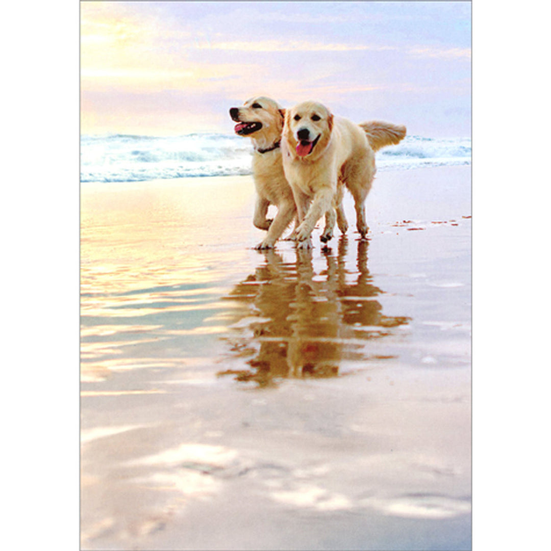 Avanti Press Golden Dogs on Beach Anniversary Card