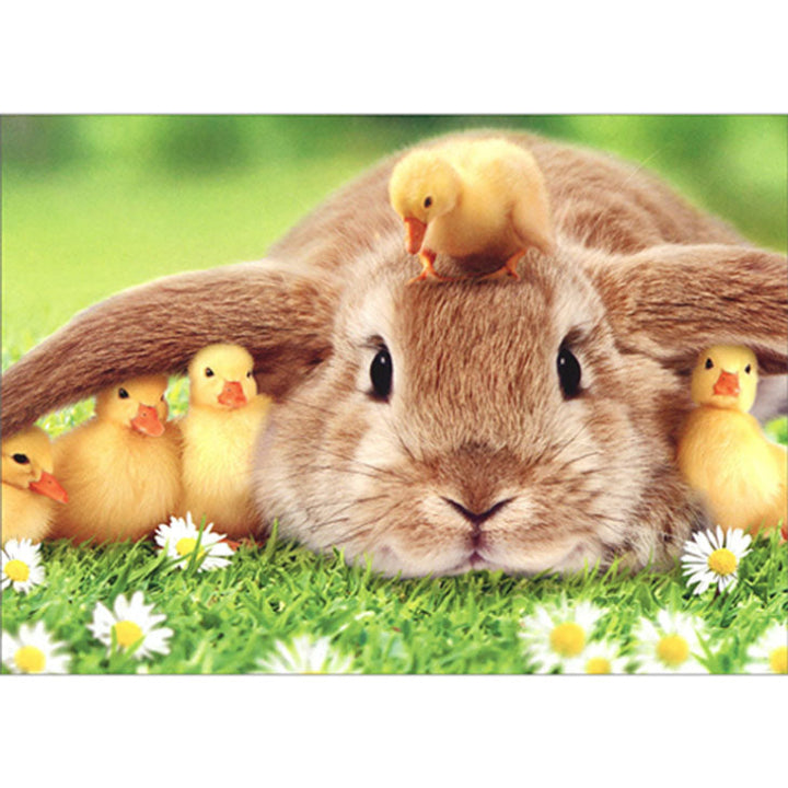 Avanti Press Bunny & Ducklings Easter Card