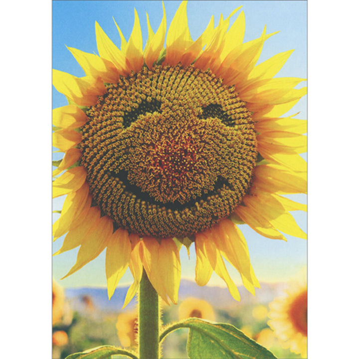 Avanti Press Sunflower with Smiling Face Photo Blank Card