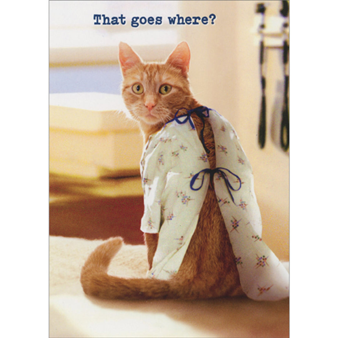 Avanti Press Cat Wearing Hospital Gown Get Well Card