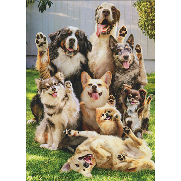 Avanti Press Dogs with Raised Paws Birthday Card