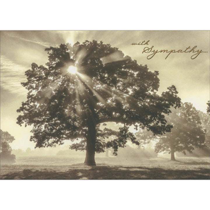 Avanti Press Sunbeams Shining Through the Tree Sympathy Card