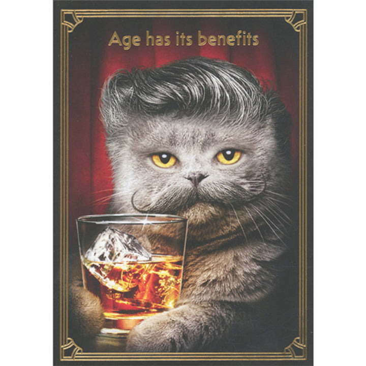 Avanti Press Gray Cat with Mustache Birthday Card