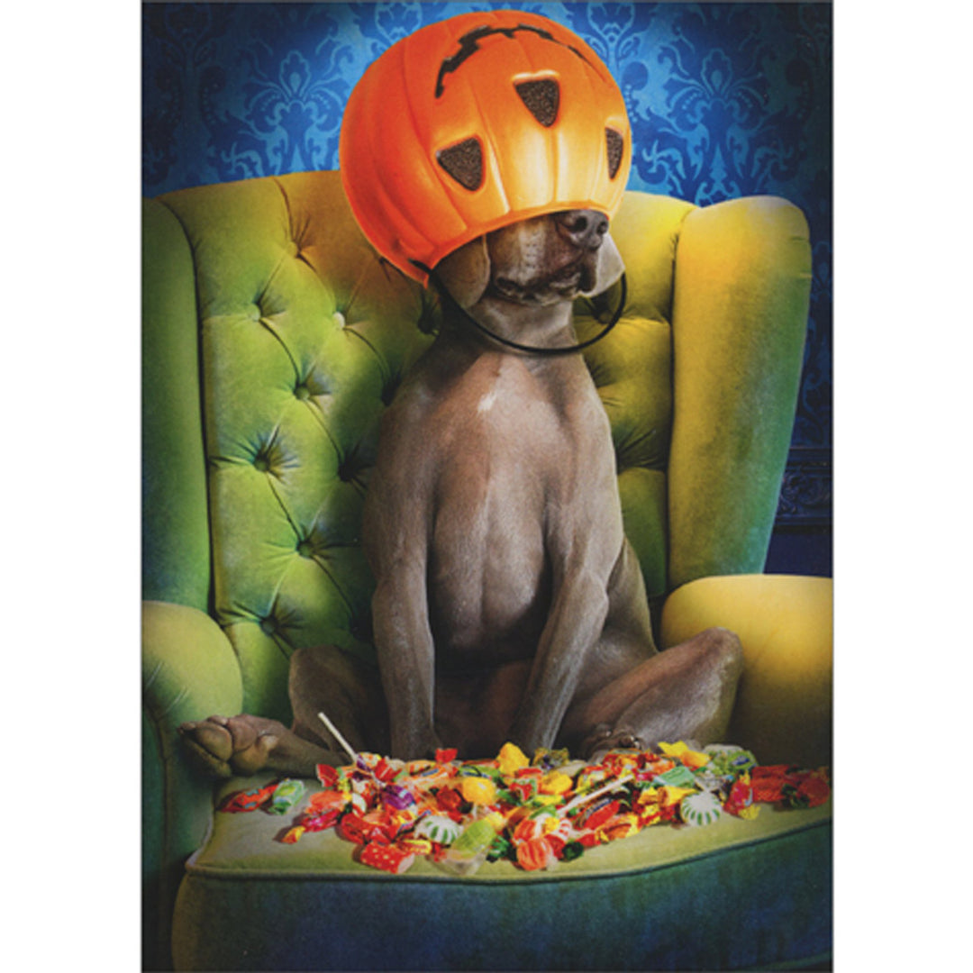 Avanti Press Silver Labrador Retriever with Bucket on Head Halloween Card