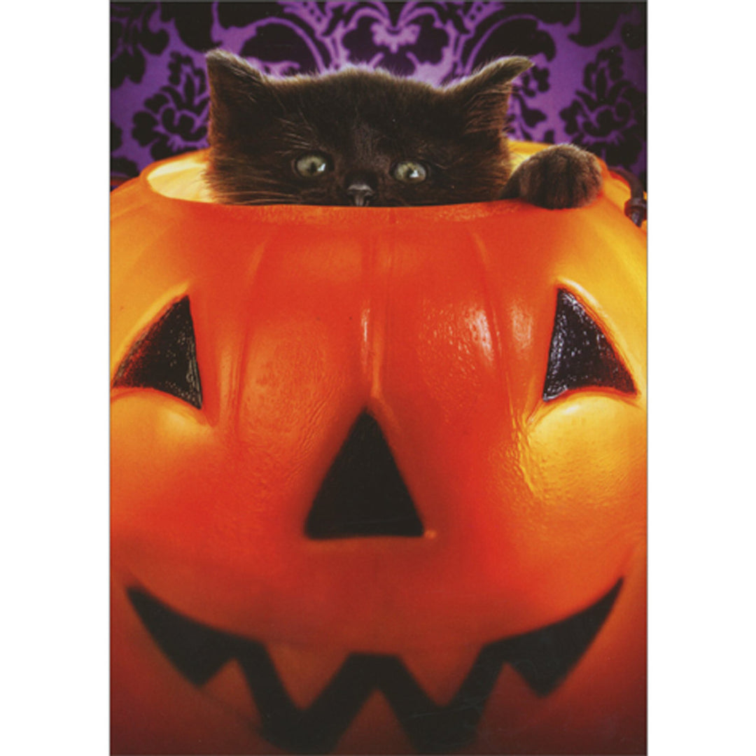 Avanti Press Black Kitten Peaking Head Out Bucket Halloween Card