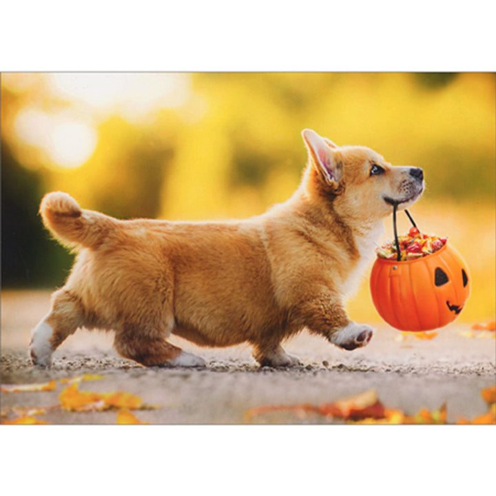 Avanti Press Corgi Puppy Walking with Pumpkin Candy Bucket Halloween Card