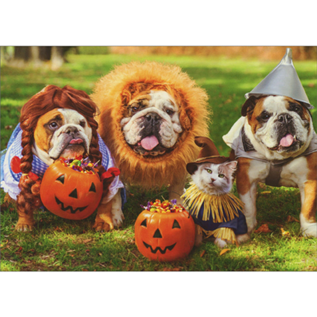 Avanti Press Bulldogs and Cat Dressed as Wizard of Oz Characters Halloween Card