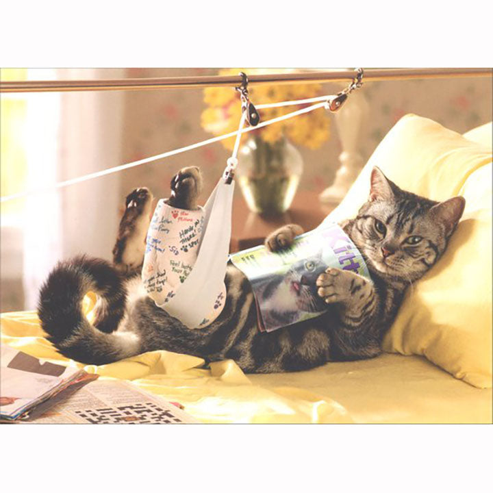 Avanti Press Cat in Traction Get Well Card