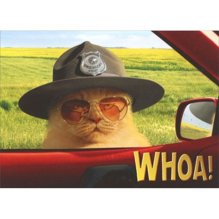 Avanti Press Trooper Cat Stand Out Pop-Up Birthday Card