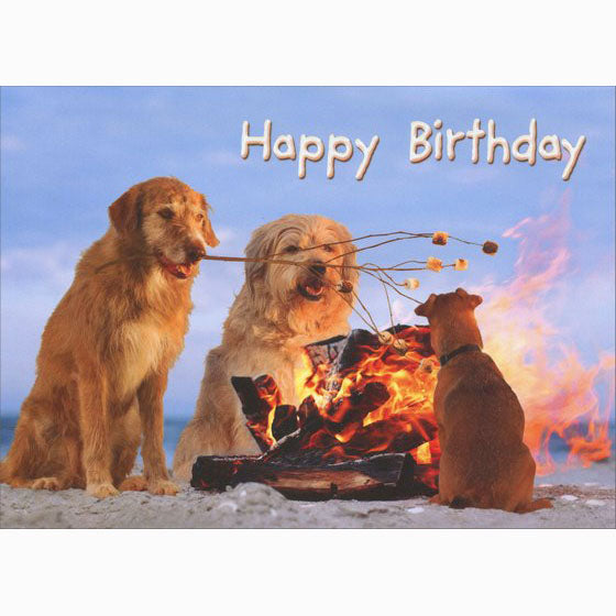 Avanti Press S'More Dogs Pop-Up Birthday Card