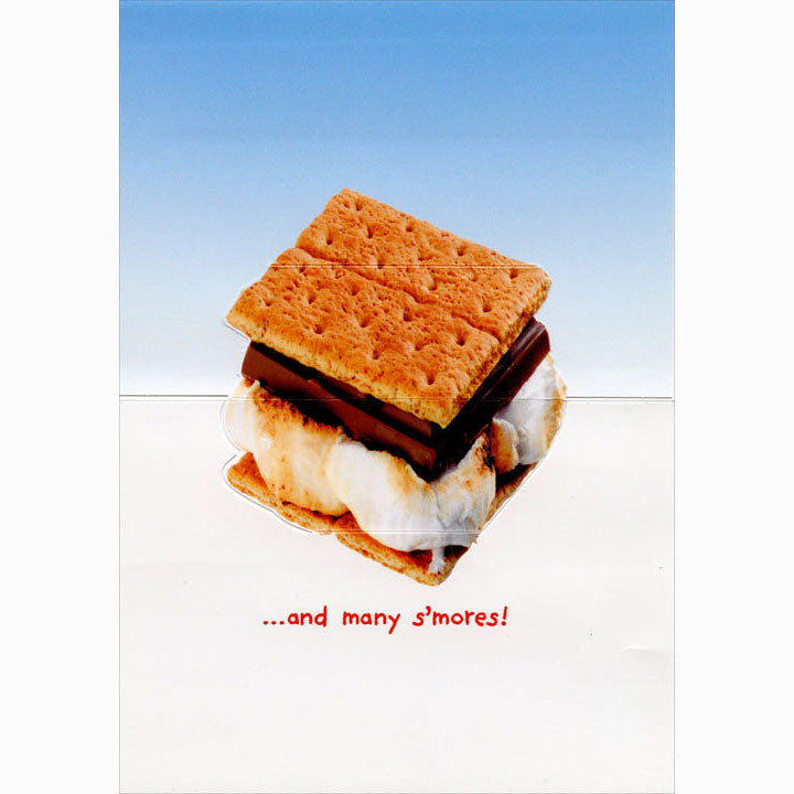 Avanti Press S'More Dogs Pop-Up Birthday Card