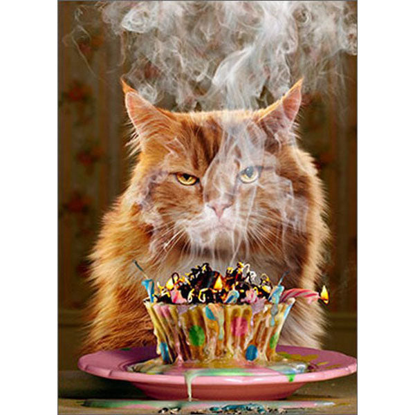 Avanti Press Birthday Cupcake Birthday Card