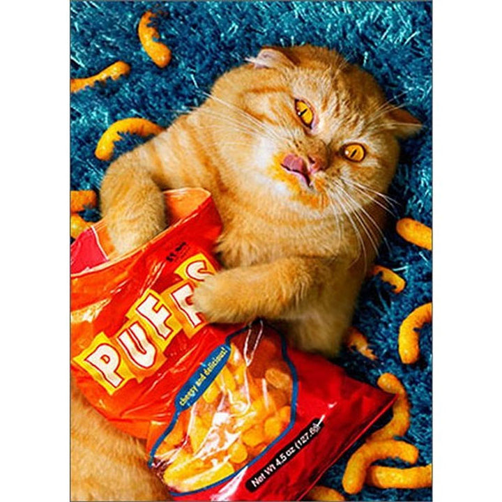 Avanti Press Cheese Puff Cat Stand Out Pop-Up Birthday Card