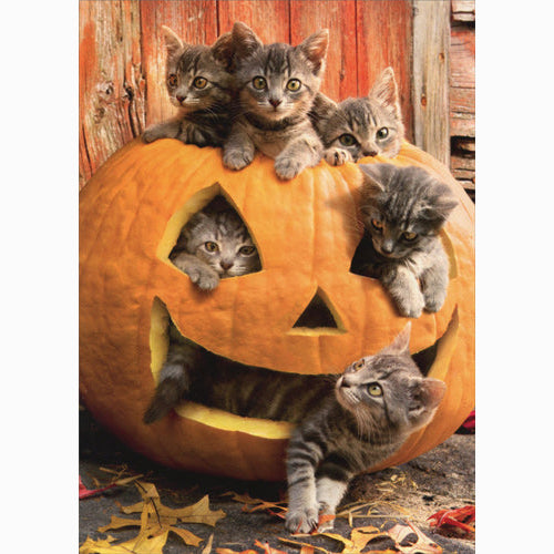 Avanti Press Kittens In Jack O Lantern Card