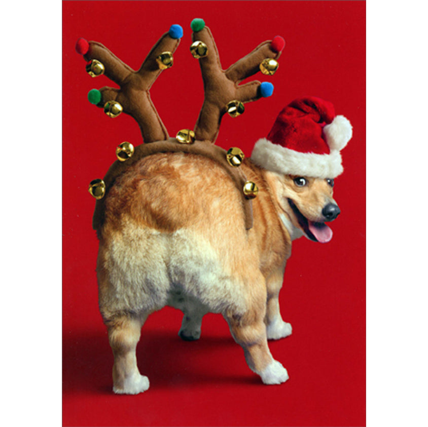 Avanti Press Dog w/Reindeer Antlers on Butt Christmas Card