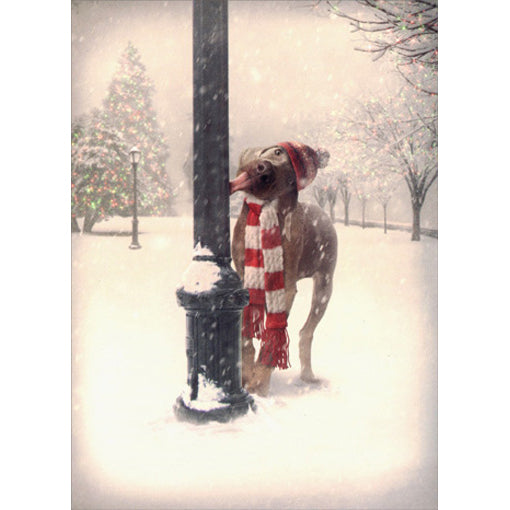 Avanti Press Dog Tongue Stuck on Pole Christmas Card