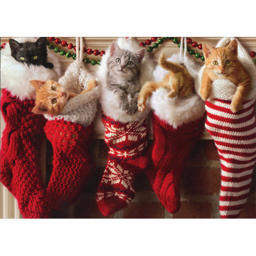 Avanti Press Kittens In Christmas Stocking Christmas Card