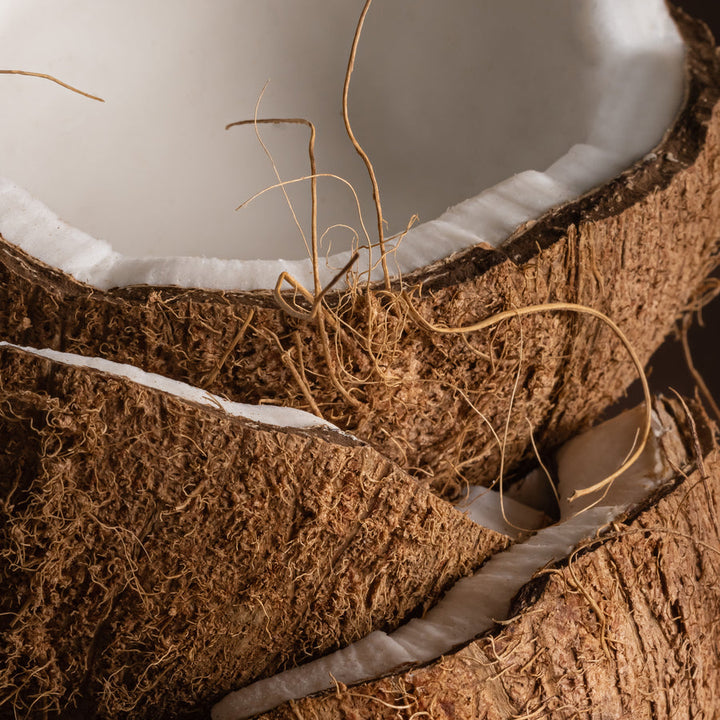 Pura Smart Home Diffuser Refill - Coconut Calm - Smart Vial (Becki Owens)