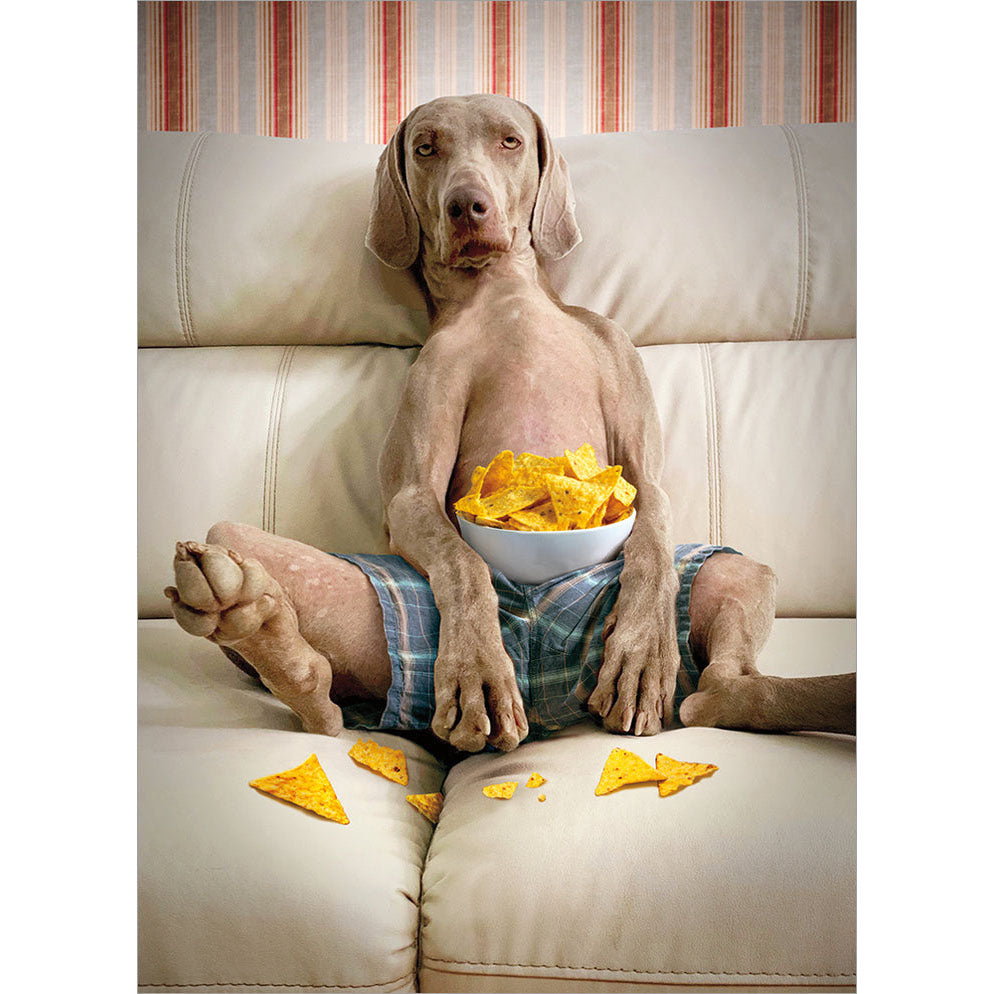 Avanti Press Dog on Couch with Bowl of Chips Birthday Card