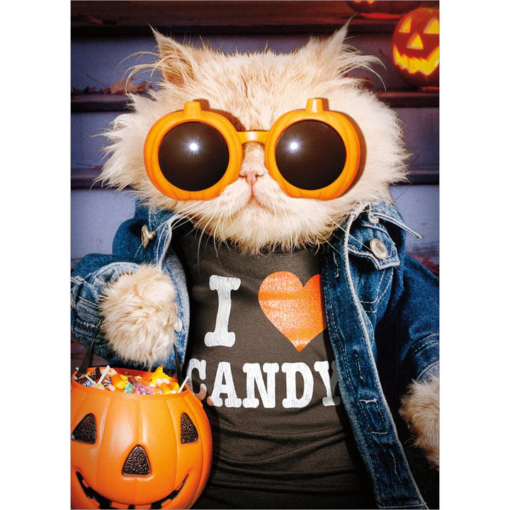 Avanti Press I (Heart) Candy Cat Halloween Card