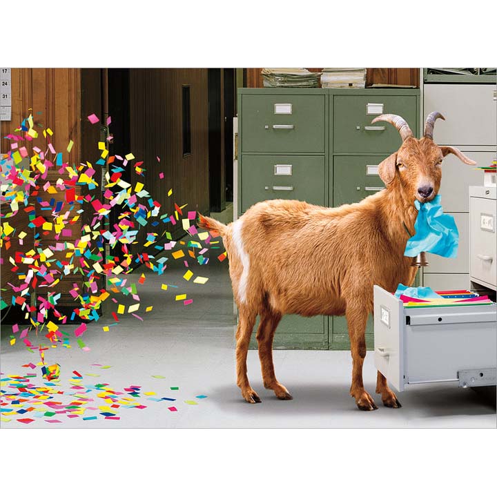 Avanti Press Goat Shredder Birthday Card