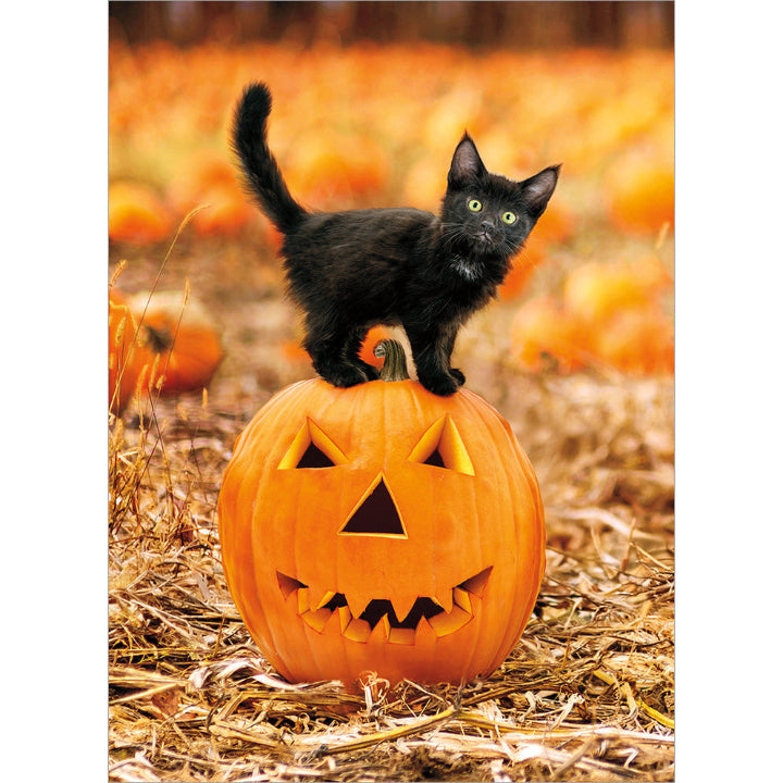 Avanti Press Black Kitten on Jack-O-Lantern Halloween Card