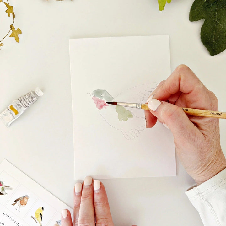 Emily Lex Watercolor Notecard Set - Birds