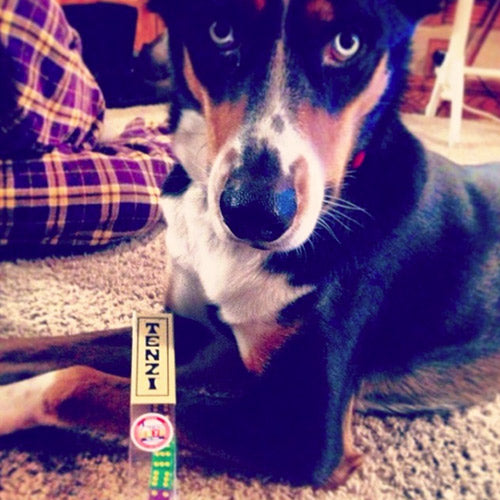 TENZI Dice Game