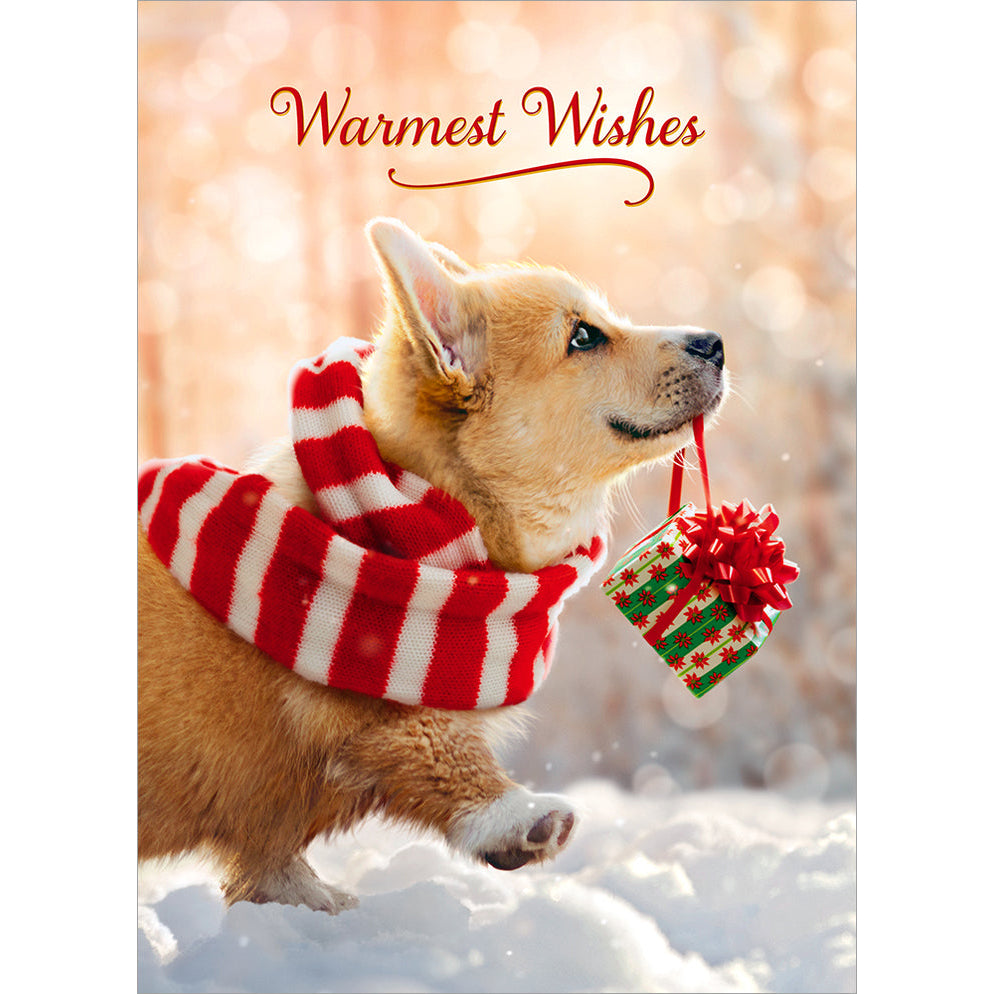 Avanti Press Corgi Walking in Snow Christmas Card